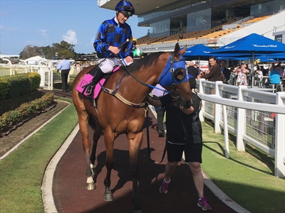 Buffering following a trial at Doomben