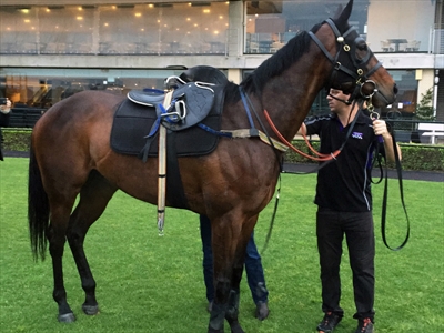 The Chris Waller-trained champion mare Winx