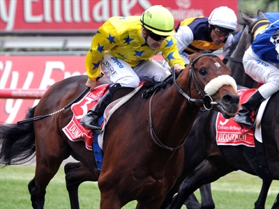 Dunaden during the 2011 Melbourne Cup