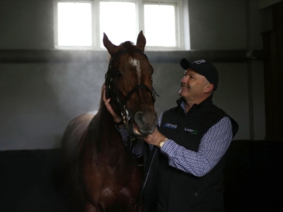 Australian trainer David Hayes with his horse Criterion