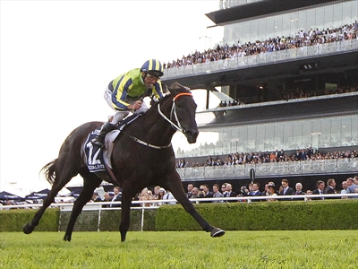 Jockey Damien Oliver rides Lucia Valentina to victory