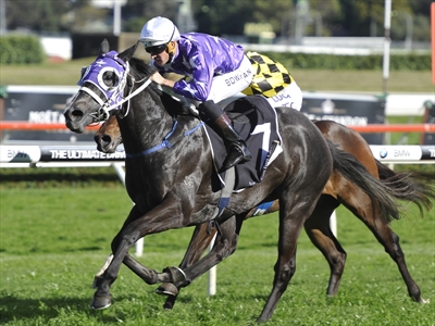 Foxplay winning the Group Two Furious Stakes at Randwick