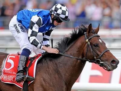 Melbourne Cup winner Protectionist
