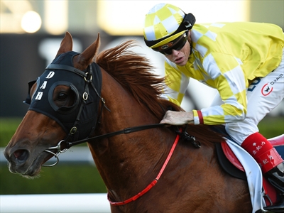 Criterion during the Queen Elizabeth Stakes