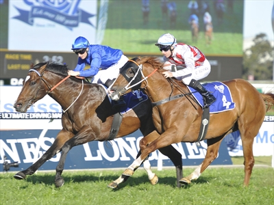 Astern (L) beating Star Turn to win Group Two Run To The Rose