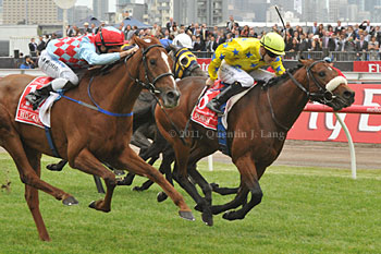Melbourne Cup Finish