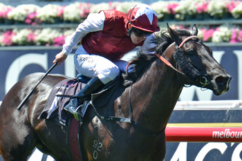 Paximadia wins the Carbine Club Stakes