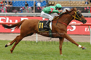 South Australian galloper Right Fong on the way to victory in the Johnnie Walker Stakes at Flemington on November 3.