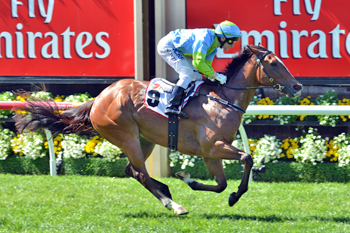 Oakleigh Girl wins the 7News Stakes 