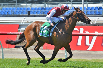 Wistful Wins the TAB Rewards Trophy