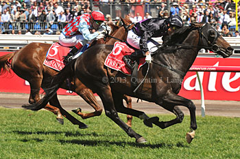 Fiorente Beats Red Cadeaux