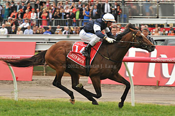 Green Moon Wins The Melbourne Cup
