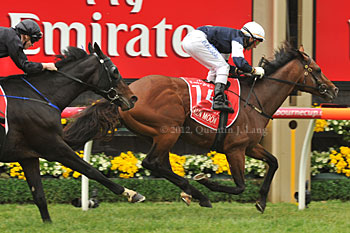 Green Moon Wins the Melbourne Cup