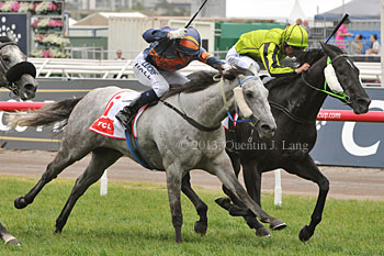 Black Cash Wins The Greys Race