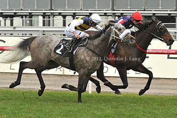 Southern Speed wins from Manighar