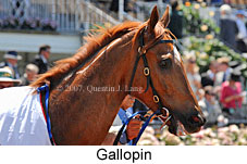 Gallopin