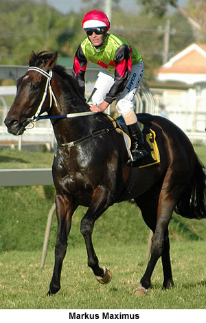 Markus Maximus returning to scale after winning the Western Australian Derby in April 2009.