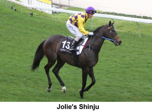 Jolie's Shinju