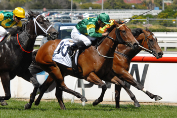Snitzerland Gets On Terms With Lankan Rupee