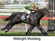Midnight Mustang