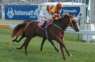 Tasmanian racing