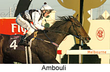 Ambouli