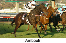 Ambouli