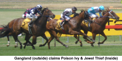 Gangland wins at Sandown Lakeside ahead of Poison Ivy and Jewel Thief