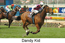 dandy boy adventures guide dandy boy adventures guide