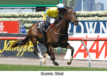 Scenic Shot wins the Mackinnon Stakes at Flemington on October 31.