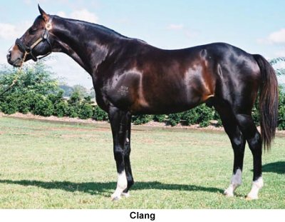 Runners By Clang
